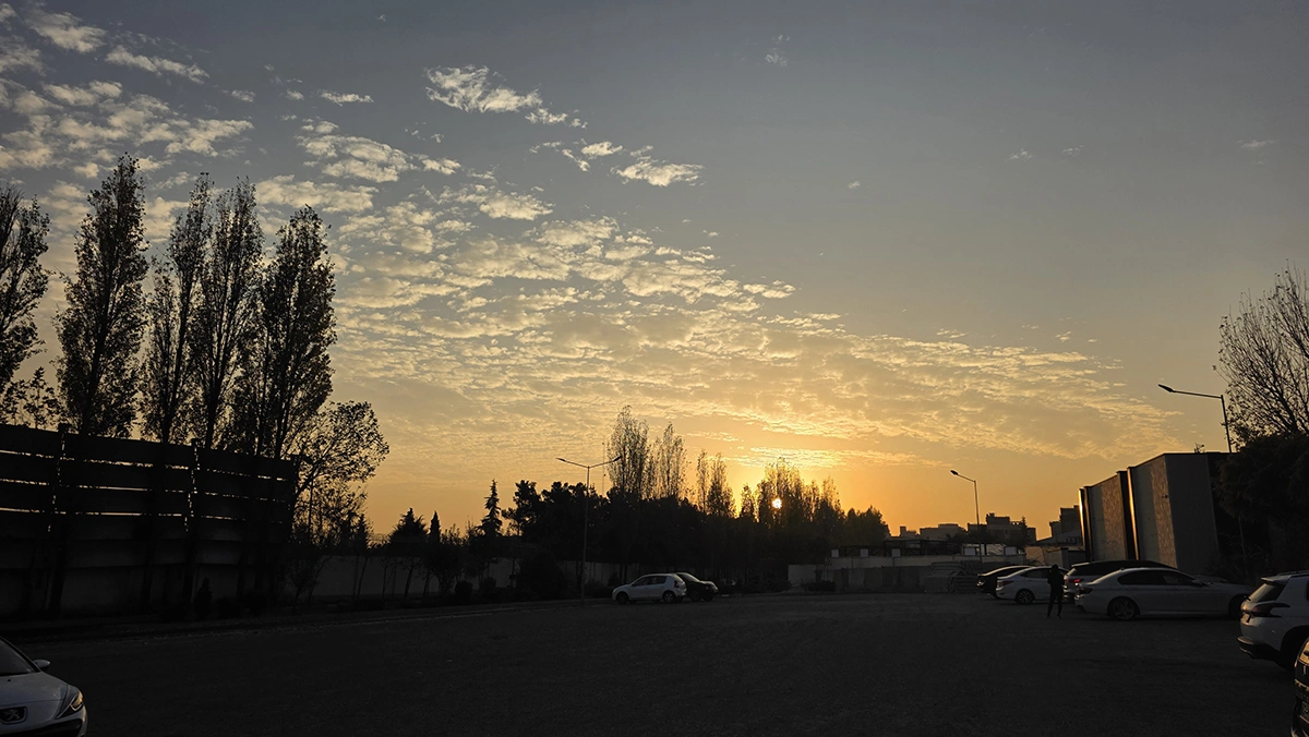 شرکت بازاریابی در تهران